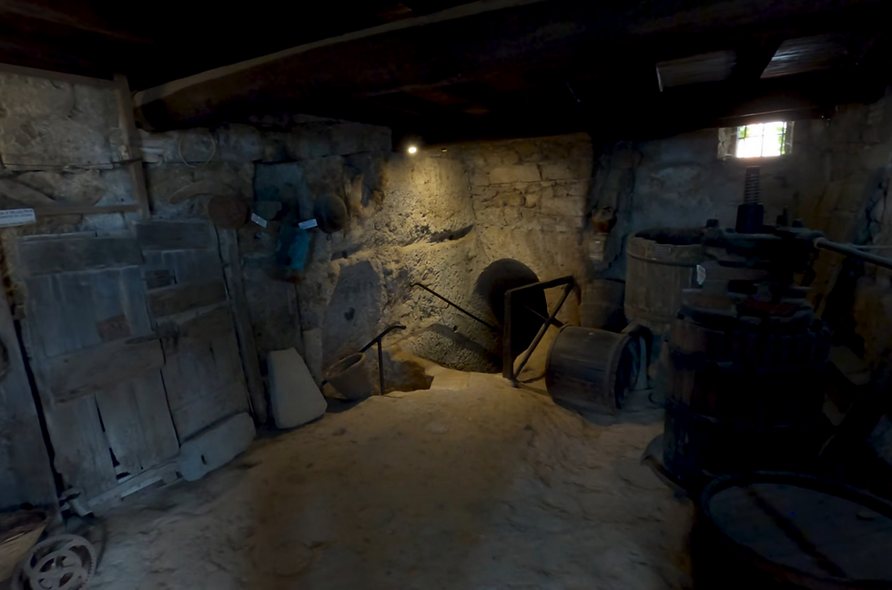 Museo Antica Civitas