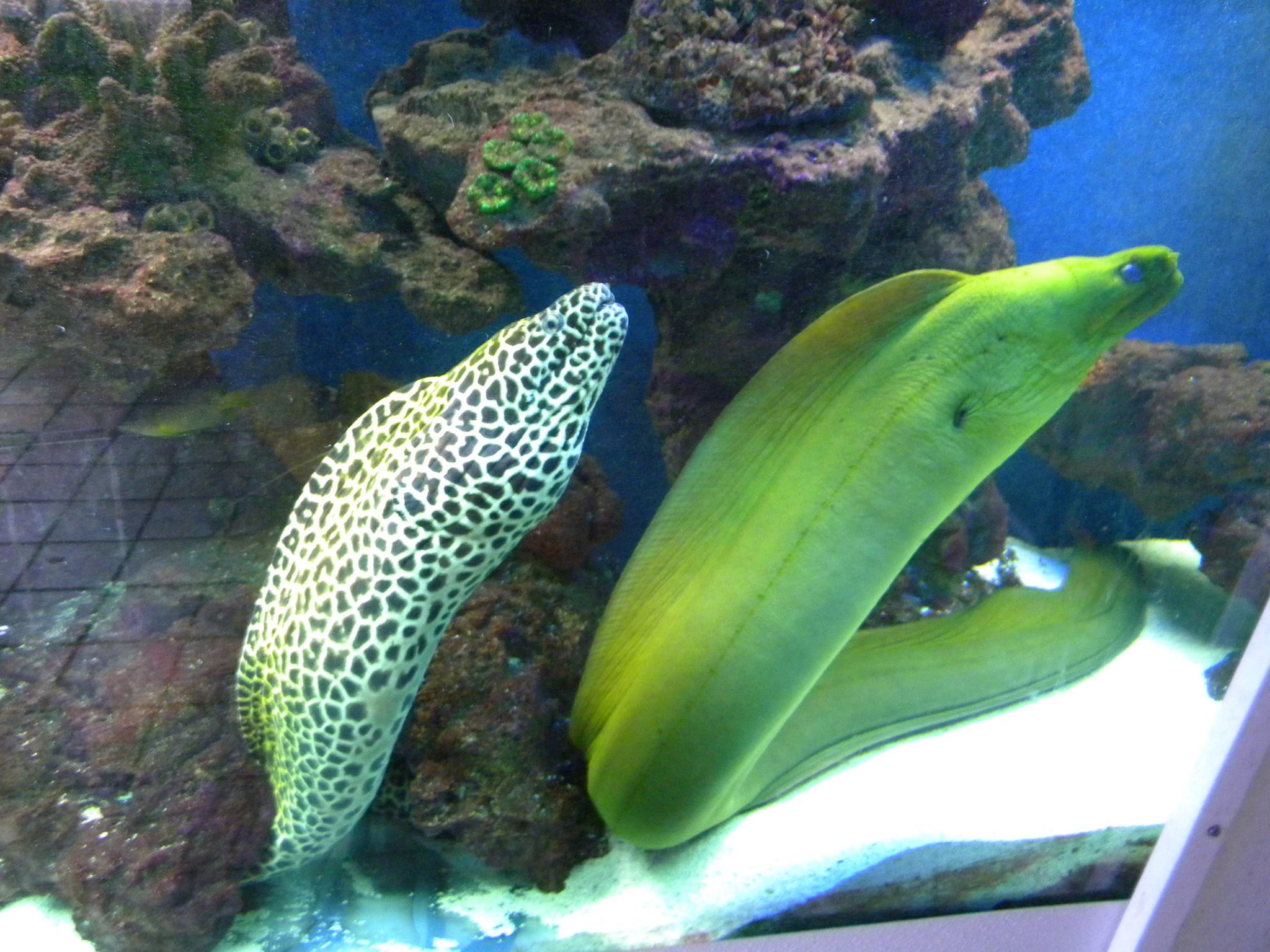 aquarium and pet center