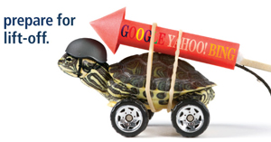INTERNET MARKETING SARASOTA | WEBSITE DESIGN SARASOTA | SEO SARASOTA