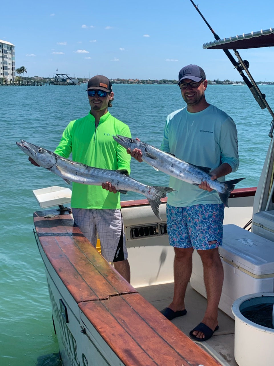 barracuda fishing sarasota