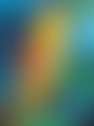 WI - 5 arcyważnych powodów, dla których warto stosować koncepcję Howarda Gardnera