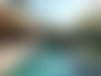 Breaking Down the Cost of Backyard Renovations