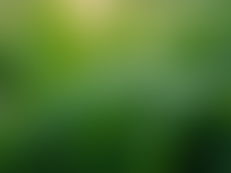 Unlocking Radiance: Top Health and Beauty Tips