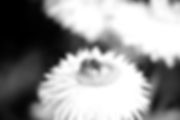 AEnB2UqMf3wTwHja_Ve7-Dbou6DycIAf1yC5dRl8br_xjpA8Ayjmi-t_n3Z8IJi-MhG6e6onB9KJncuravm9rrLpHo