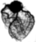 AEnB2UrWTqCjzPWqVamqmOTh8R9-ilmUrRc4-amMv-c3IAclIp5IU1T3dnTnAG2DzH7ezKOUHFKXQFBvhPOJm-wMnt