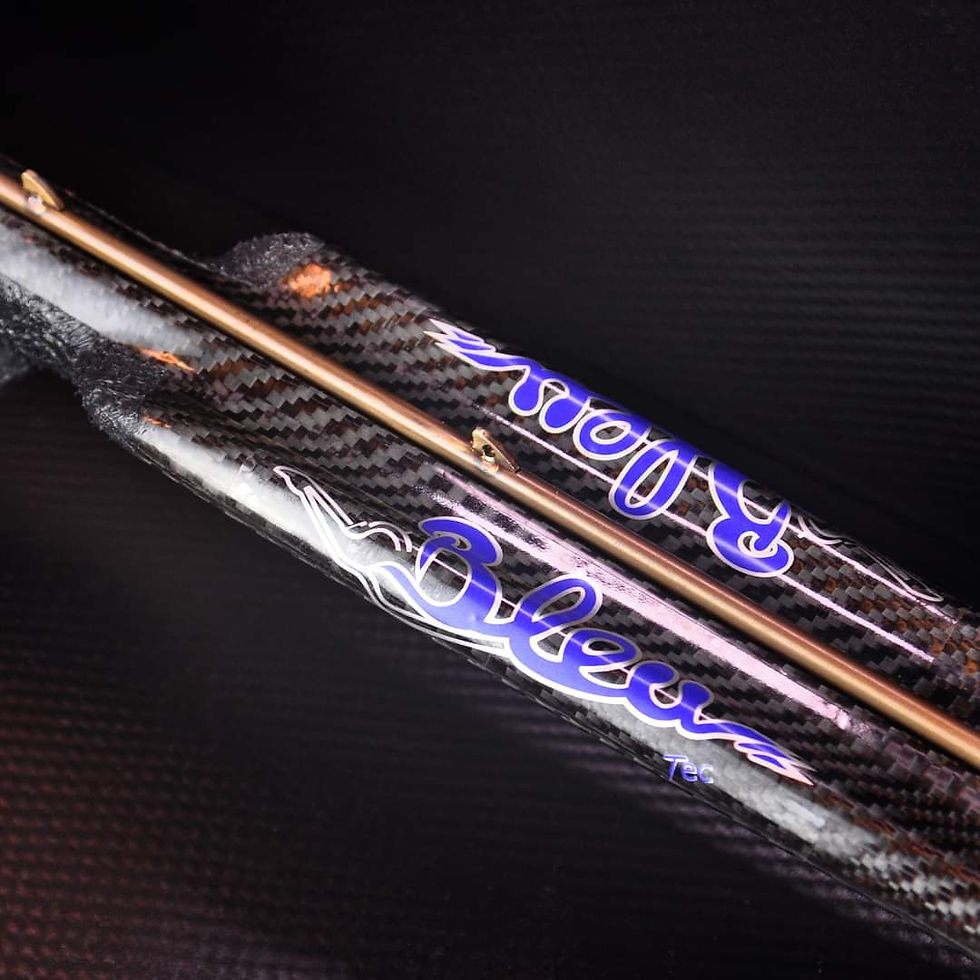 תמונה ממוזערת:  BLEUTEC LABRAX 2 רובה צלילה 