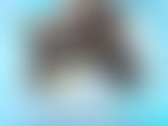 Apresentação da Banda Sinfônica no Trezenário de Santo Antônio !