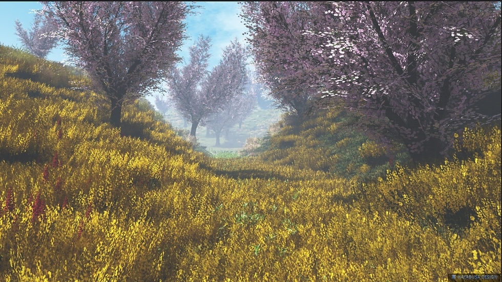 Hayabusa Design, Brassica Napus, Colza and Sakura, Cherry Blossom