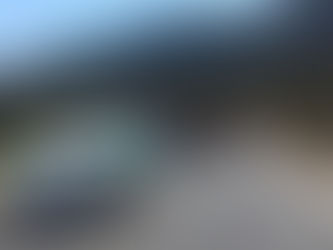 Día de la Candelaria Santa María Zotoltepec.