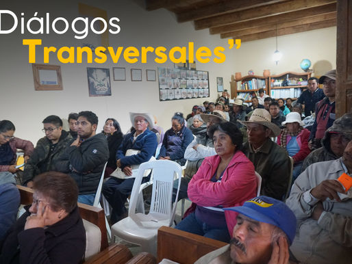 Diálogos Transversales