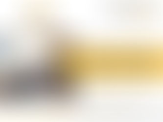 Diálogos Transversales