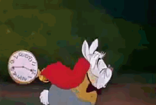 кролик и часы.gif