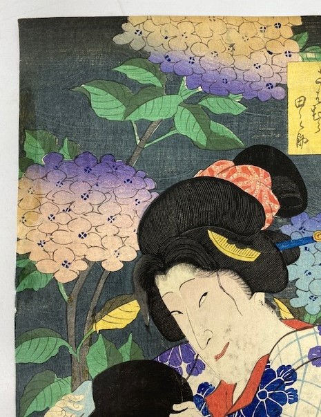 Thumbnail: Toyohara Kunichika : Hydrangea in the thirty-six flowers