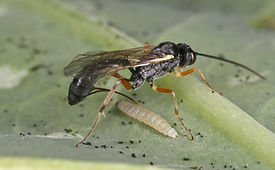 iTopPlus942423711551.jpg