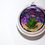 Thumbnail: Large and Small Hanging Glass Terrarium blue purple and pink