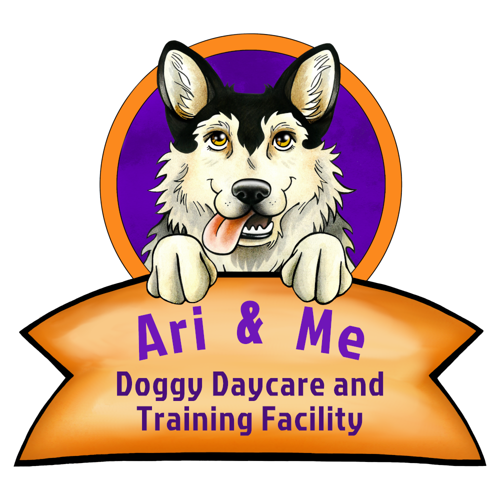 Ari&Me Doggy Daycare Classes 11 Training Adelaide