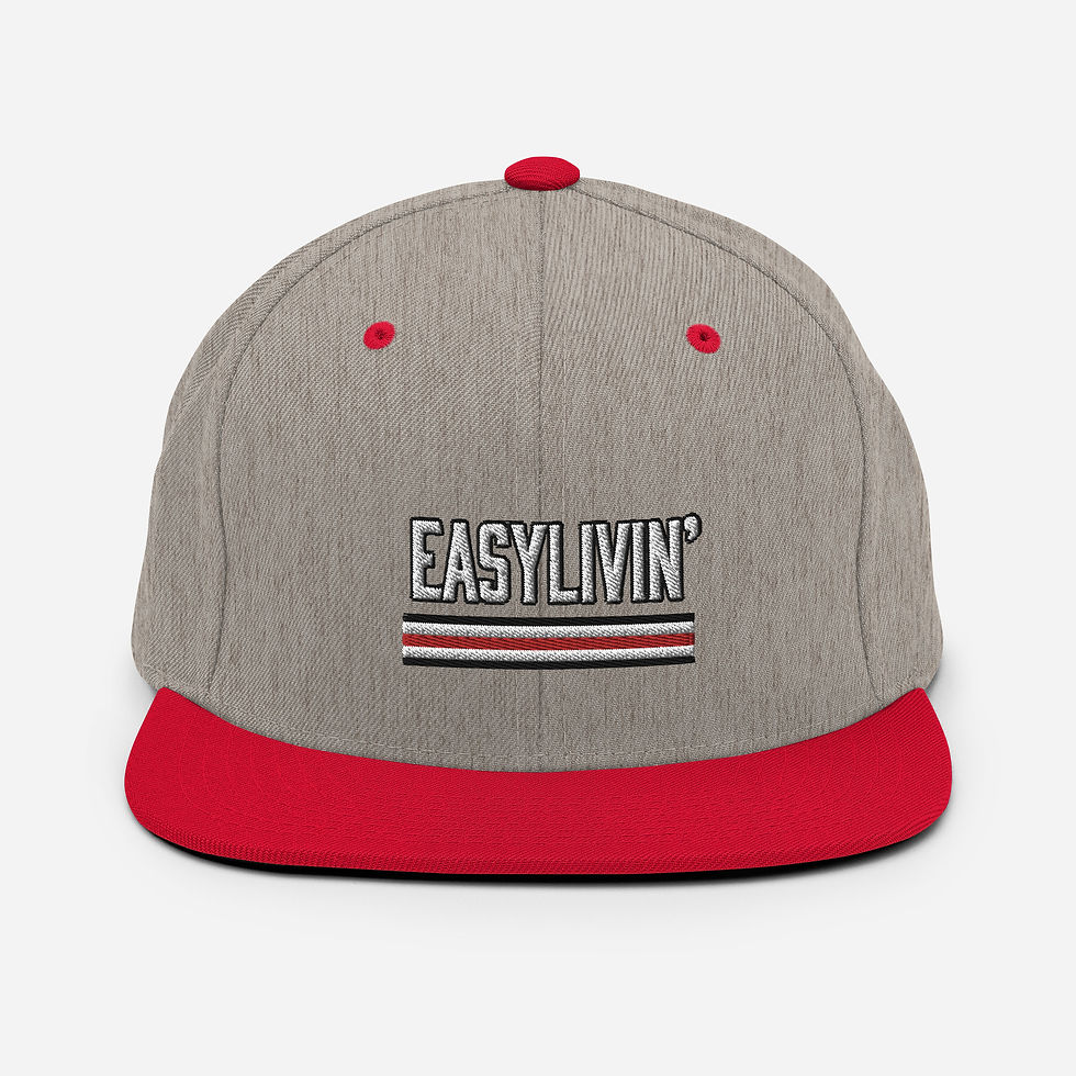 Helmet stripe Snapback Hat