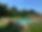 download (1).png