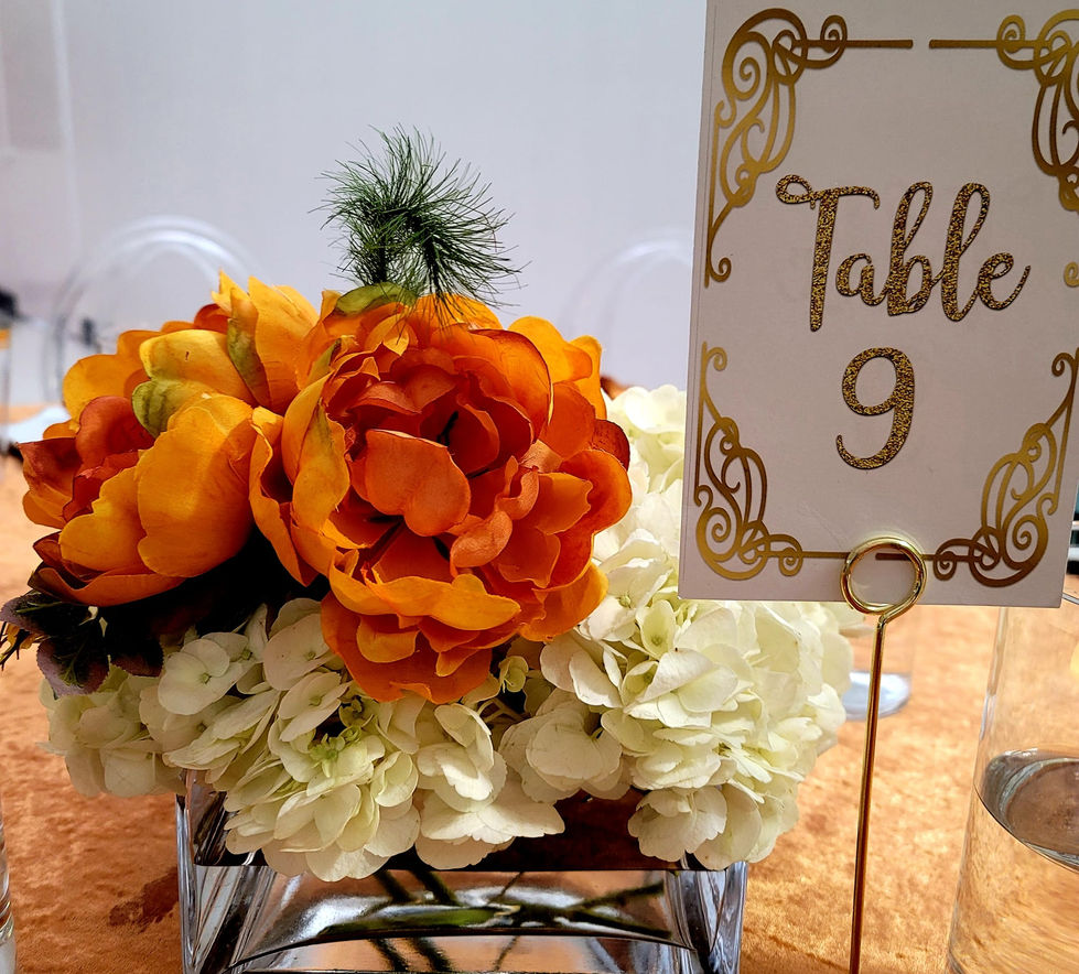 344580942_1442012166545569_2930551671209606097_n