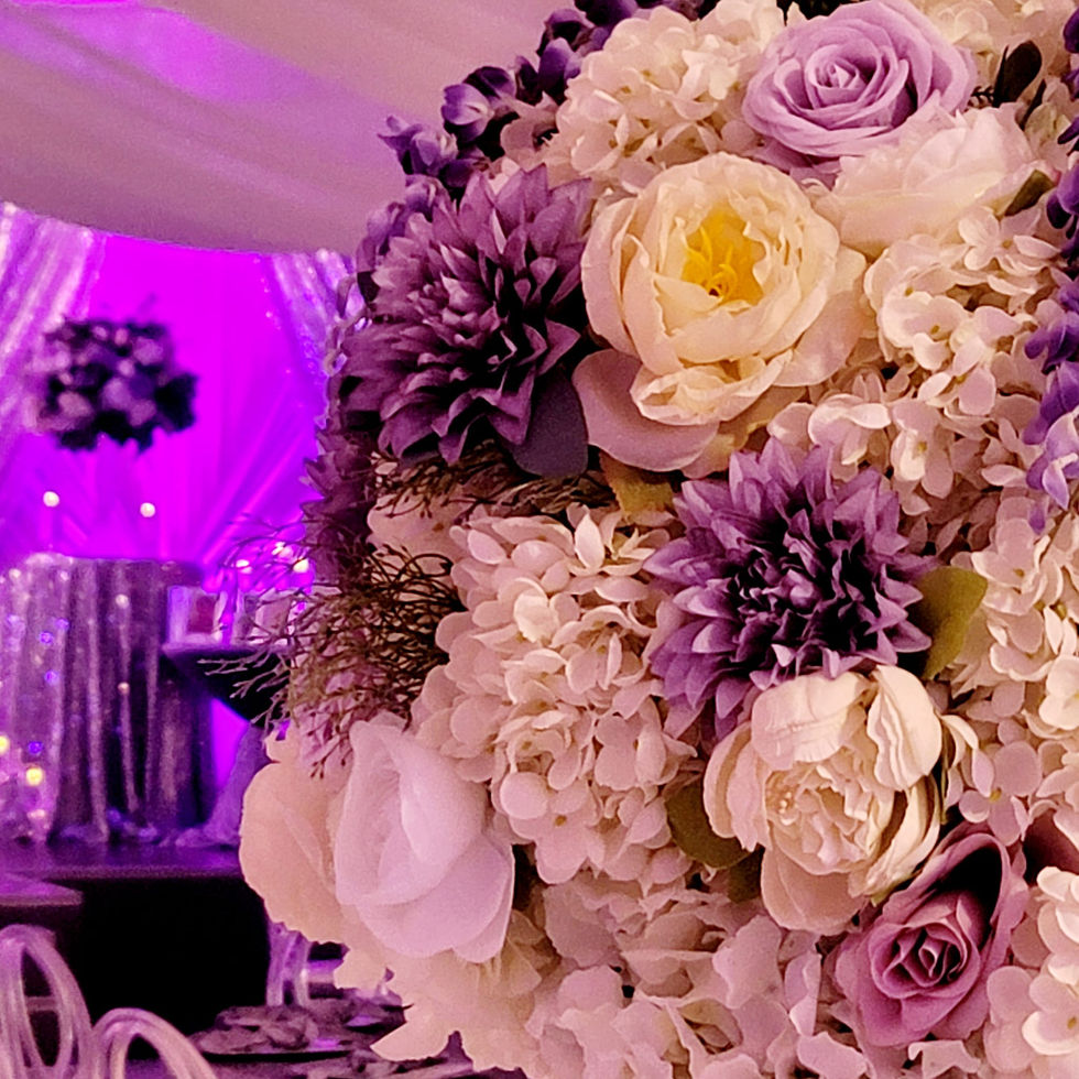 337098888_226069879979058_6264250621343675584_n