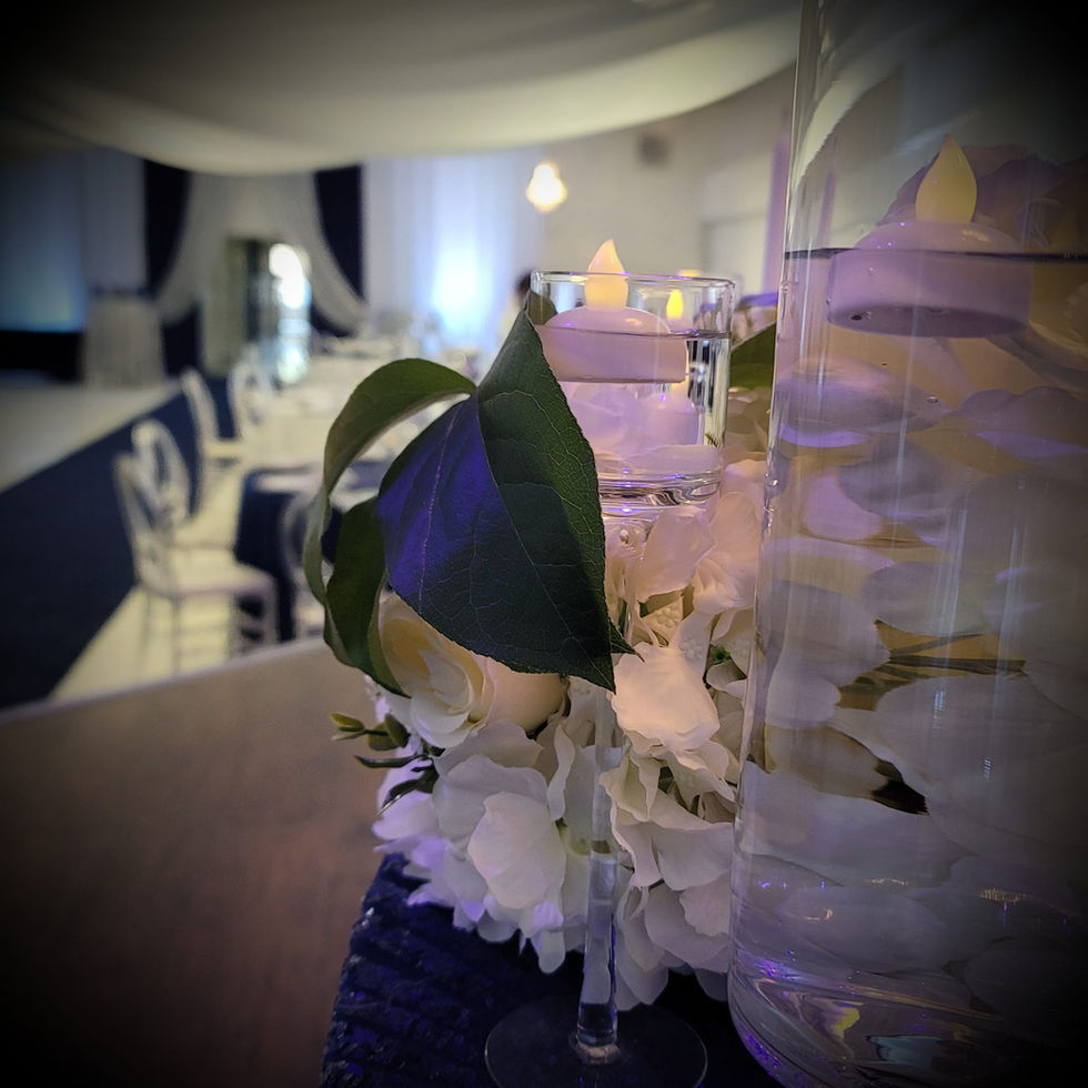 338919783_724820152729365_7743137351896433740_n