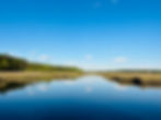 IMG_1427.jpeg