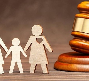 Comisarias de Familia – Ley 2126_edited.