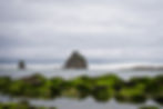 La Push