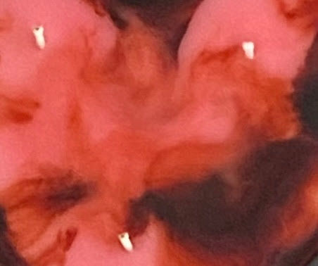 Thumbnail: Chocolate Covered Strawberry