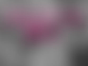 Worsley Woods Ladies 5 Mile Trail Race 2024