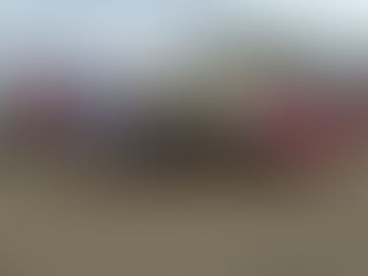 Watergrove Parkrun - Results and pictures