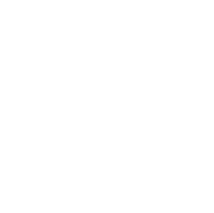 Rocket Icon.png