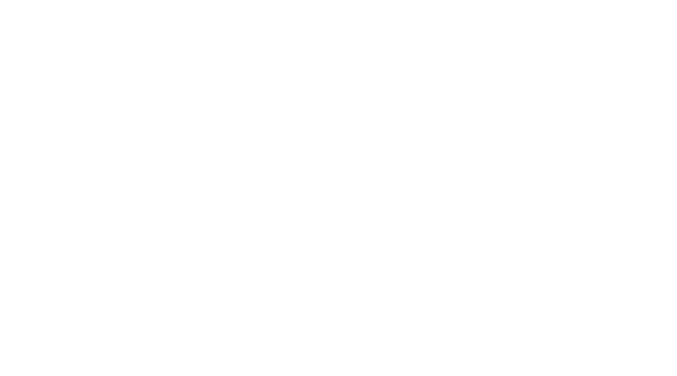 Venn.png