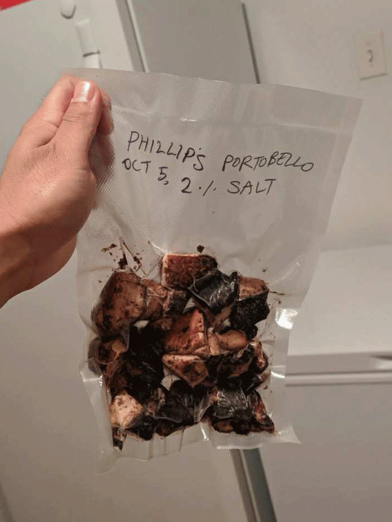Fermentation-Experiments.gif