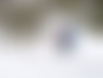 Время лидеров: выездная сессия