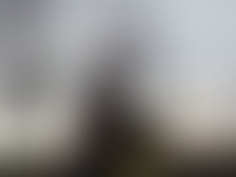 7 класс: Поездка во Владимир и Суздаль