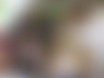 Последний звонок - в июне?! Да, бывает и так