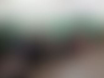 1-4 классы: Сводный хор начальной школы