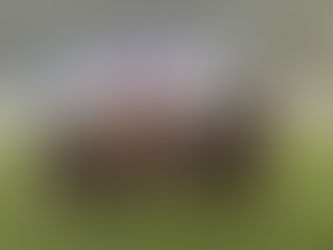 1-4 классы: Новости футбола