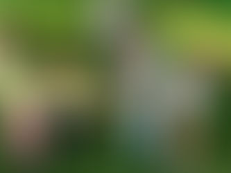 1-3 классы: Летний лагерь. Самое яркое событие. Версия 1