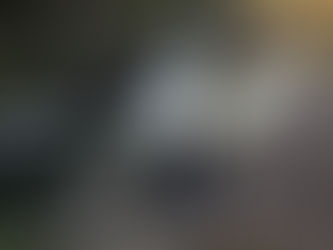 9 класс: Поездка в Петрозаводск