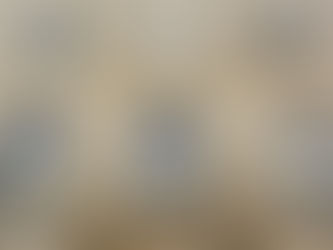 Le Musée des Beaux-Arts de Dijon métamorphosé