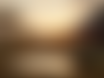 Top Luxury Safari Destinations in Africa