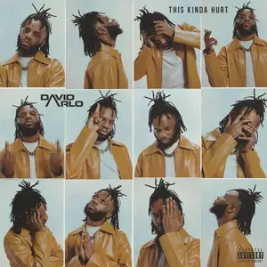 Review: "This Kinda Hurt" - David Arlo