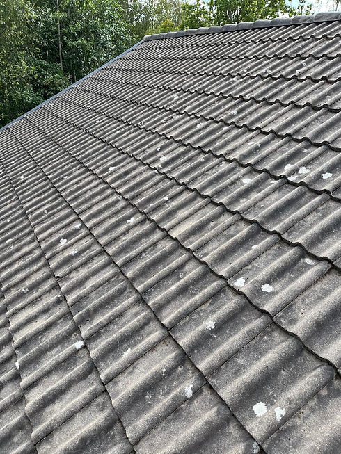 WhatsApp Image 2026-03-25 at 14.56.32 (1).jpeg