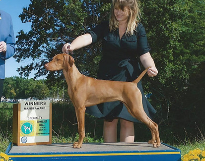 22048111_1500024563398332_20765720105734