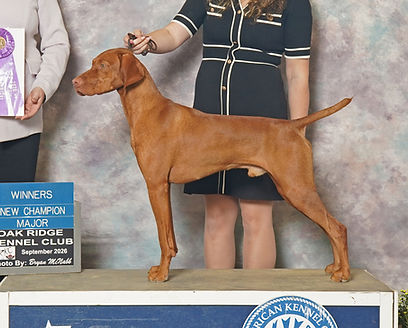 Judge Specialty win 09272026_edited.jpg