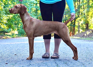 Image 6-16-21 at 8.04 PM.jpeg