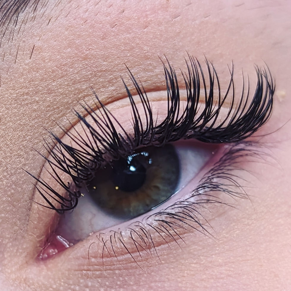 Individual Lash Course with Kit (in class)