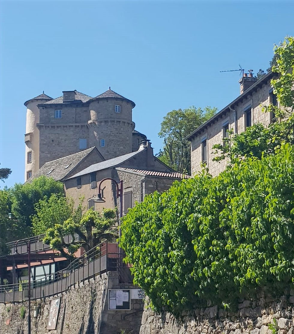 Le Châteaude Saint Léons.